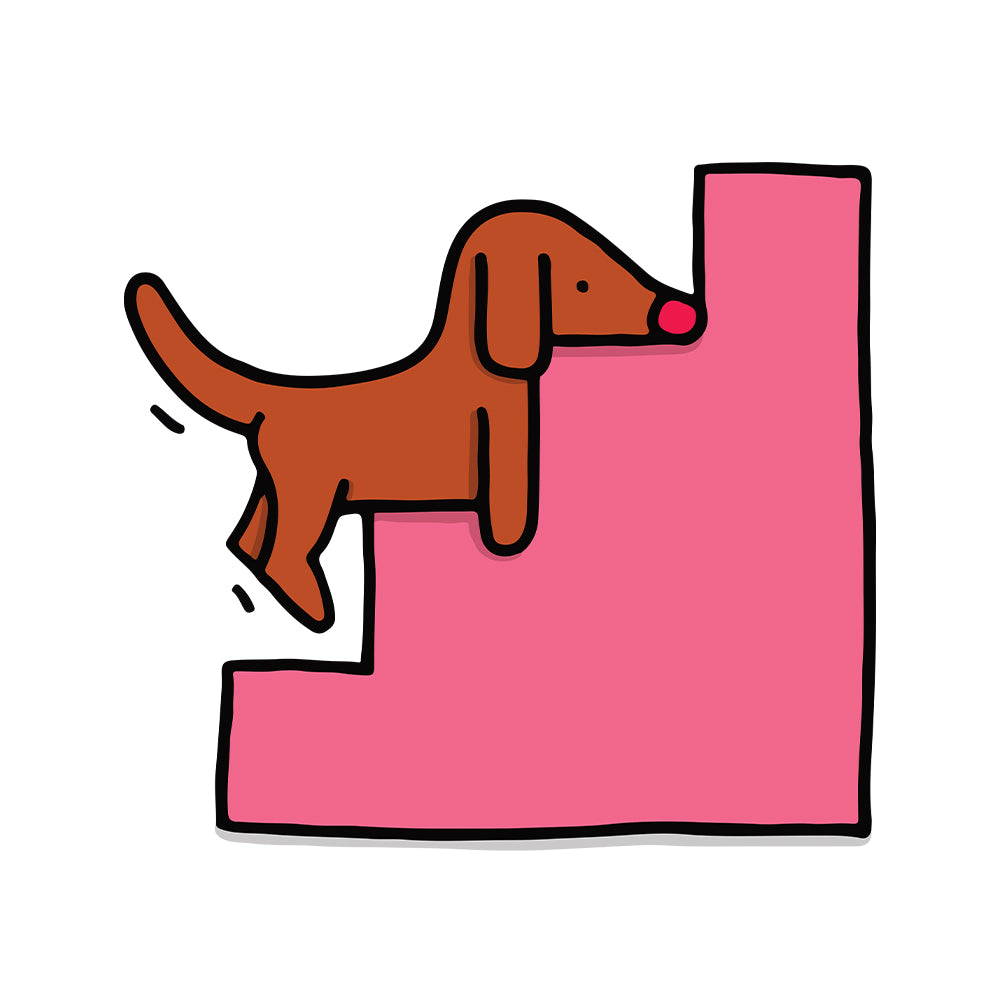 Dog on Pink Stairs